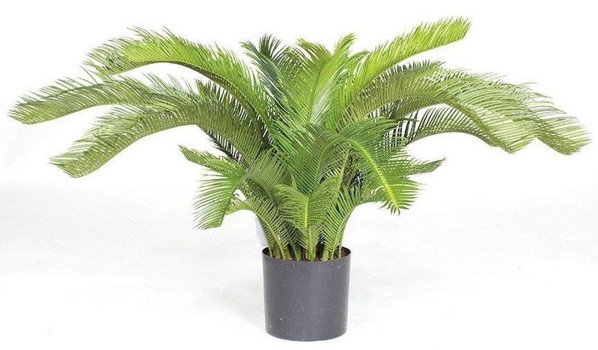 CYCASPALME DELUXE Artificial Tree Plant
