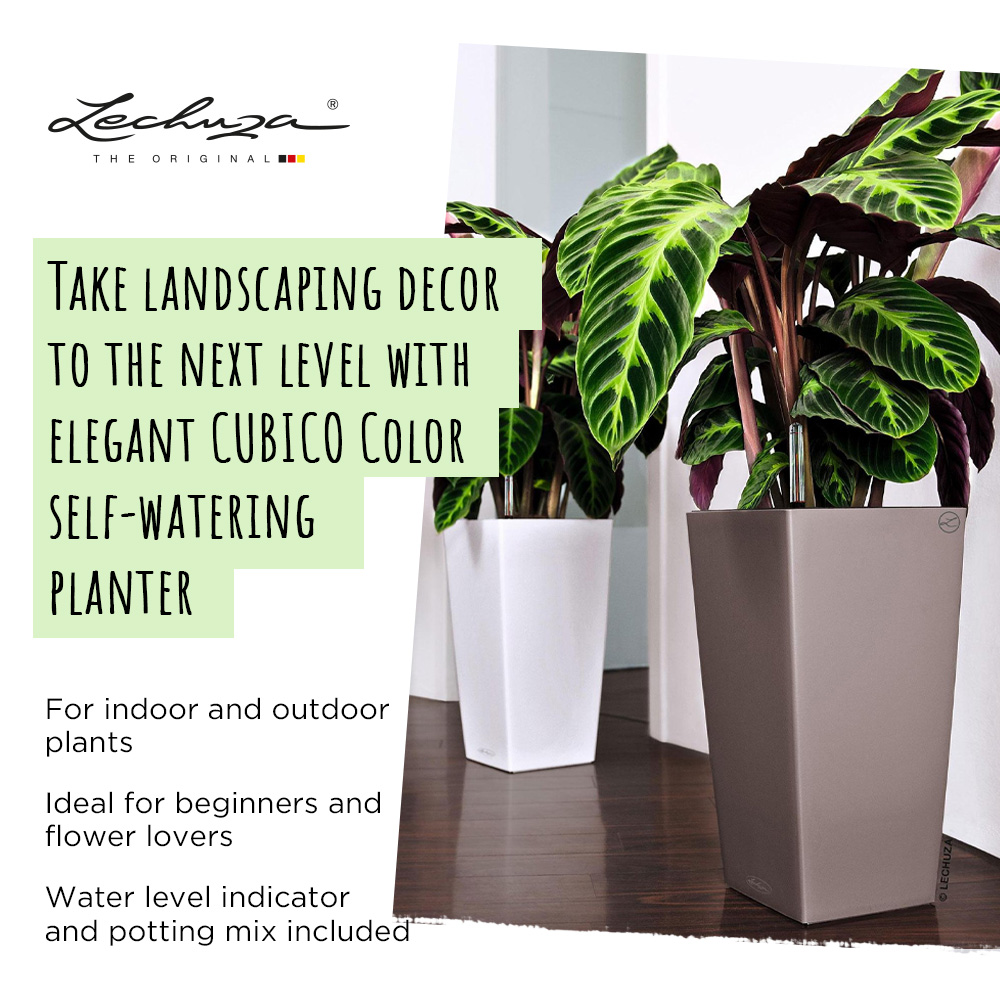 LECHUZA CUBICO Color Square Tall Poly Resin Self-watering Planter