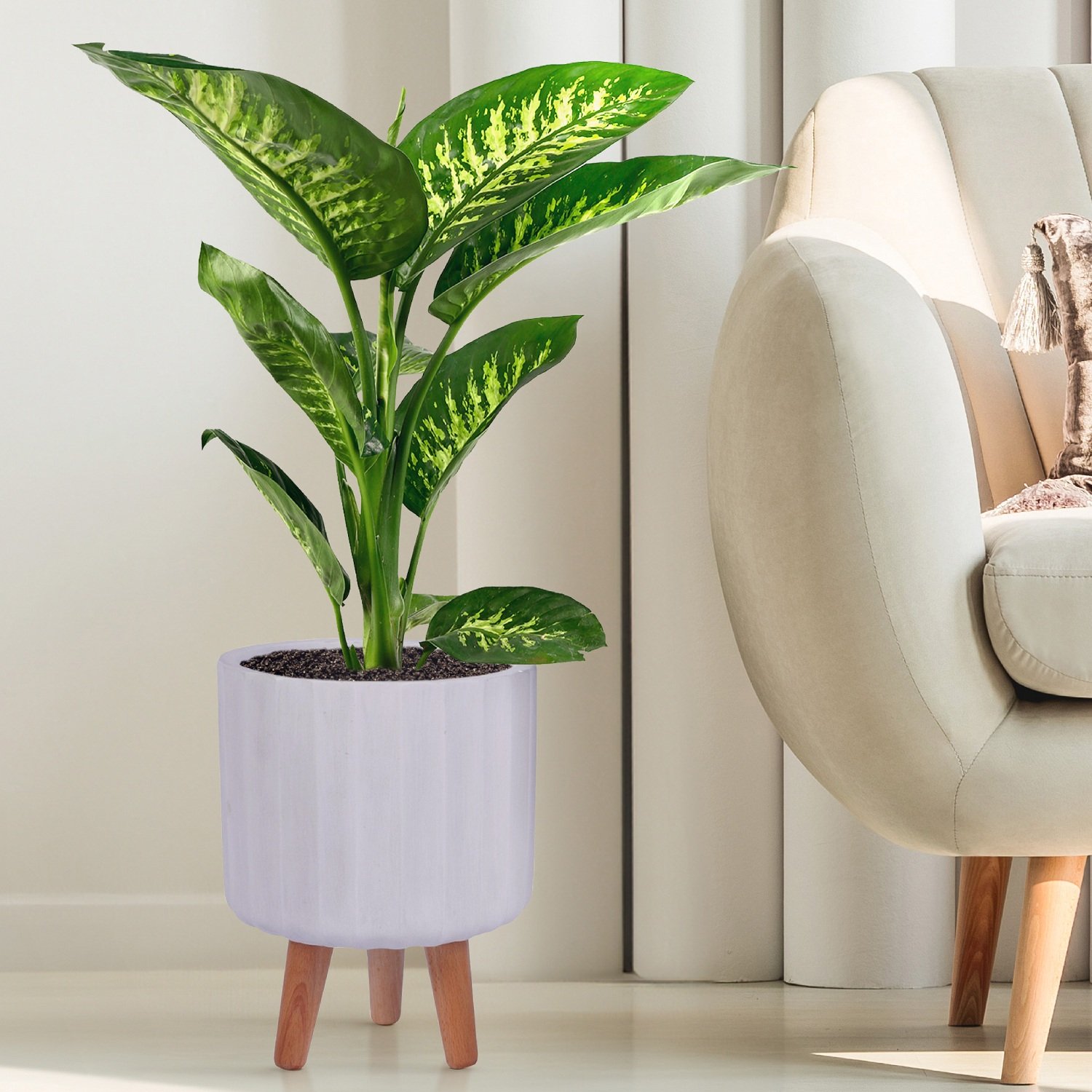 IDEALIST Lite Modern Ribbed Cylinder Planter on Legs, Round Pot Plant Stand Indoor