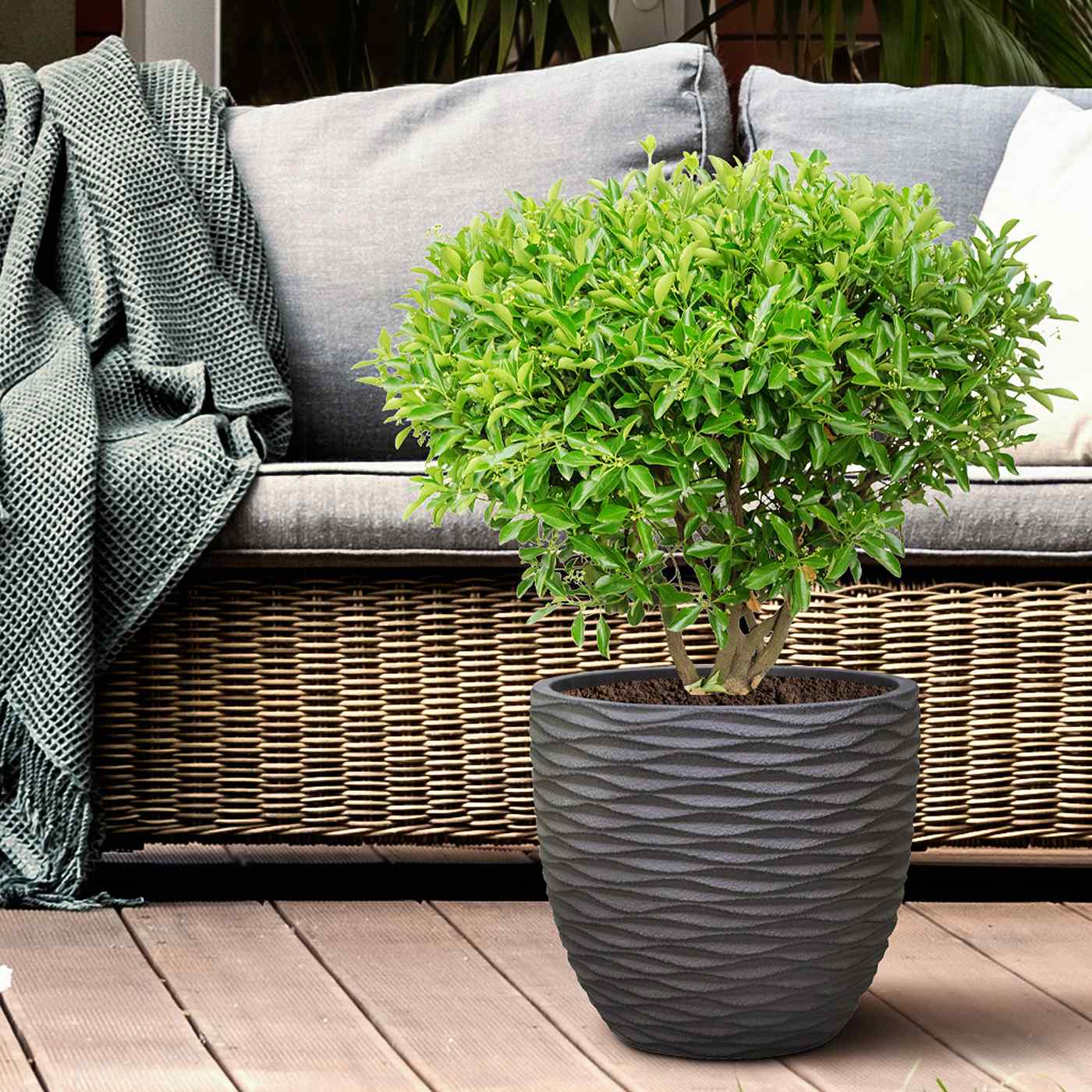 IDEALIST Lite Wave Style Outdoor Egg Planter