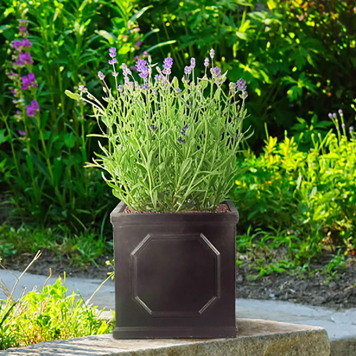 IDEALIST Lite Faux Lead Chelsea Box Square Light Concrete Planter