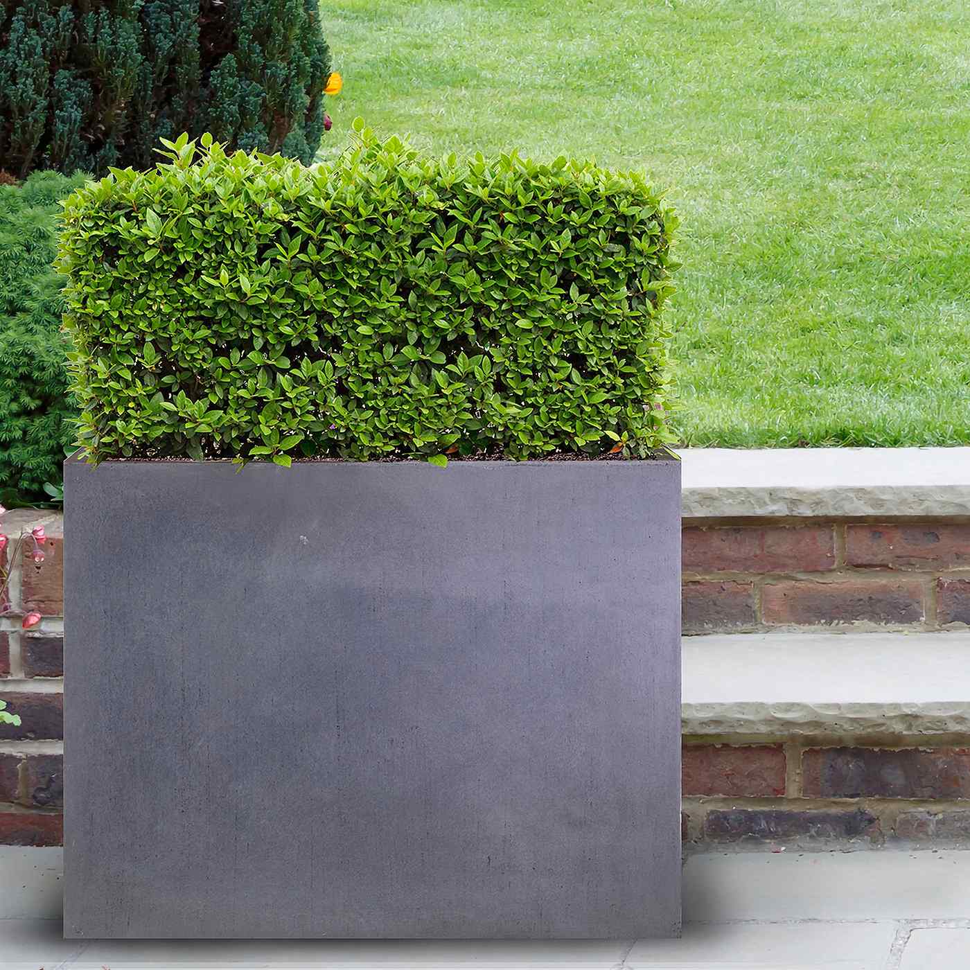 IDEALIST Lite Contemporary Light Concrete Trough Planter Set