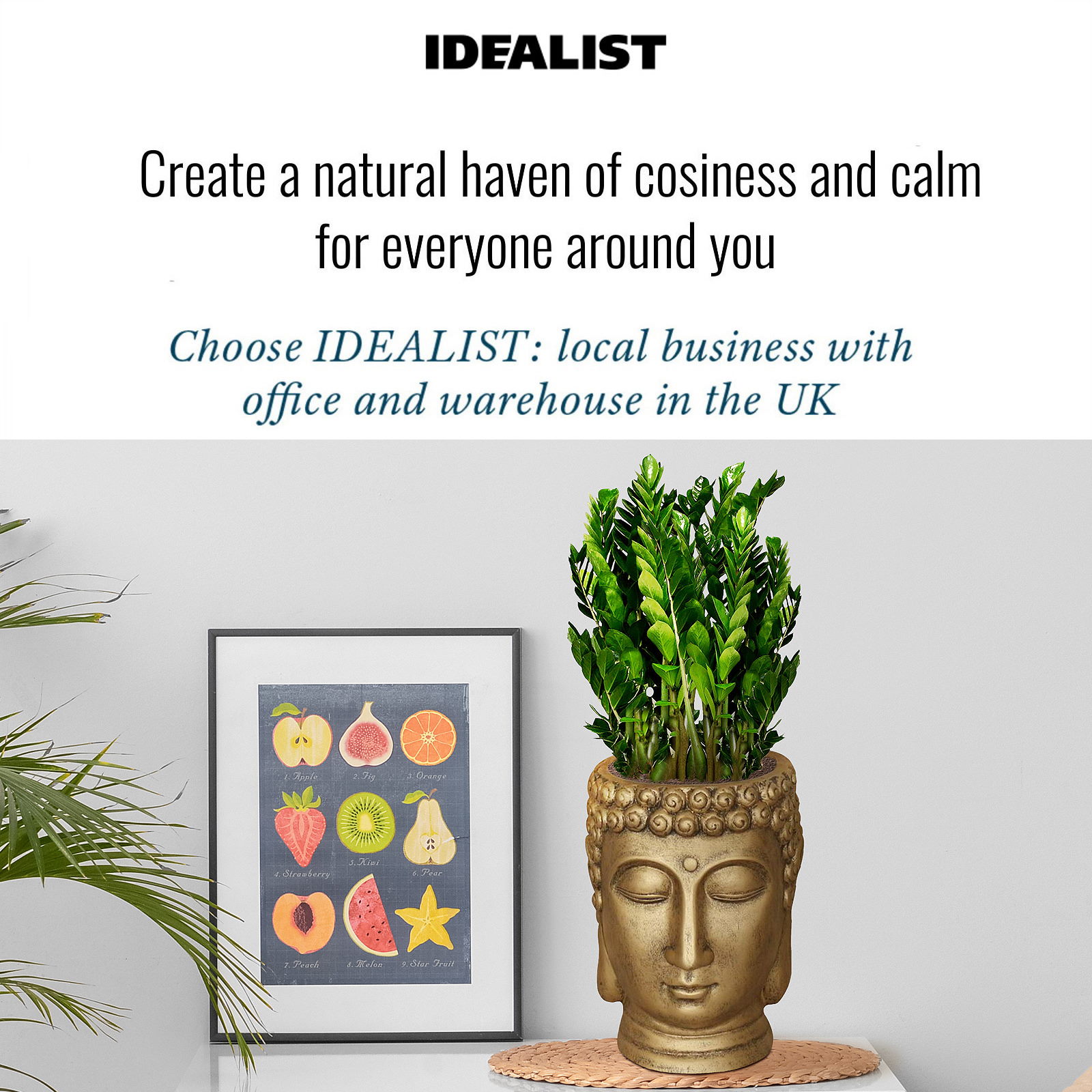 IDEALIST Lite Buddha Face Plant Pot Indoor