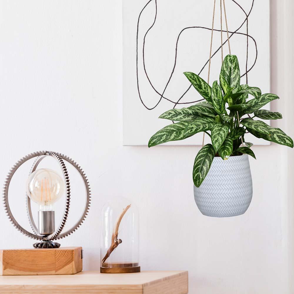 IDEALIST Lite Plaited Style Table and Hanging Plant Pot Dual Use Indoor Egg Planter