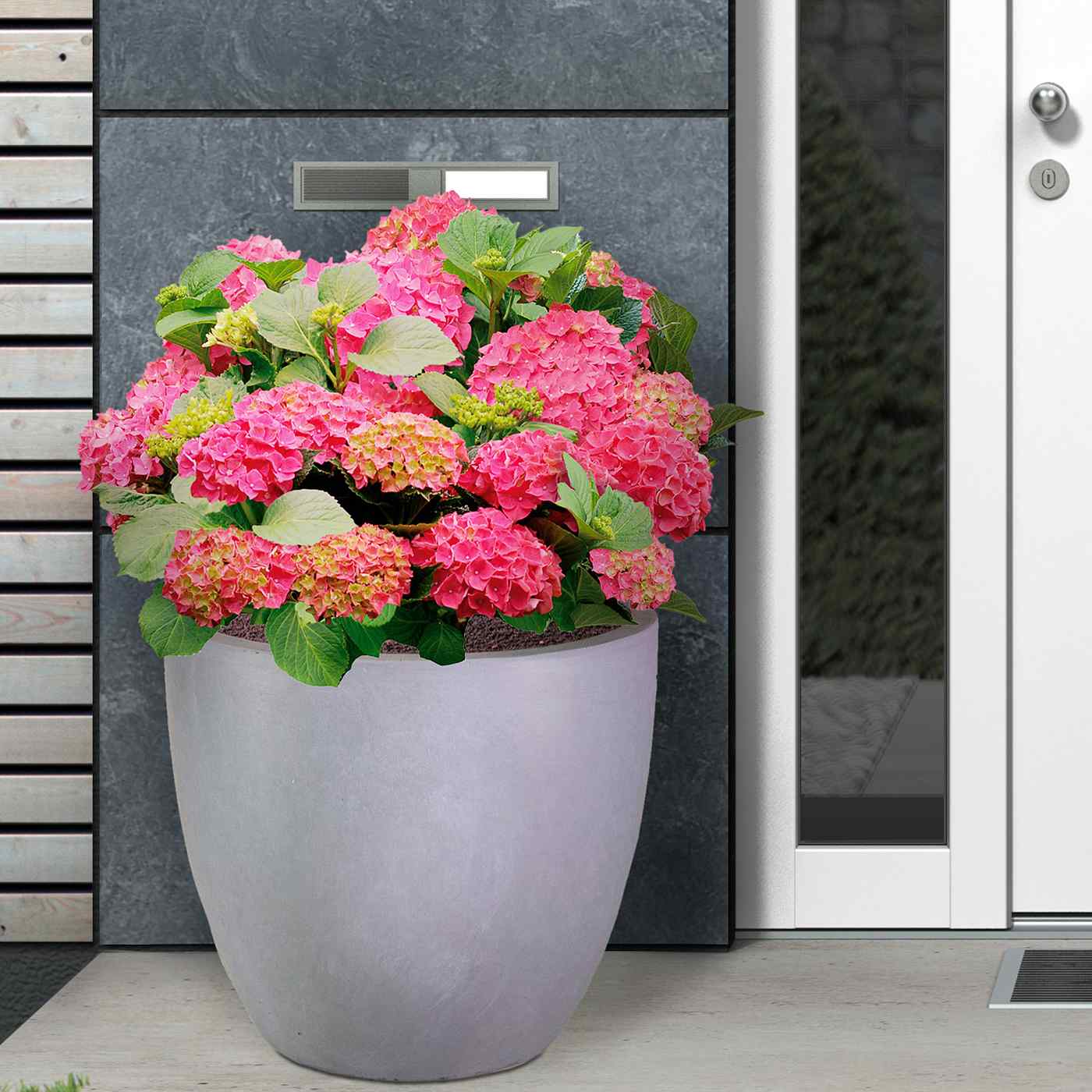 IDEALIST Lite Contemporary Light Concrete Egg Planter