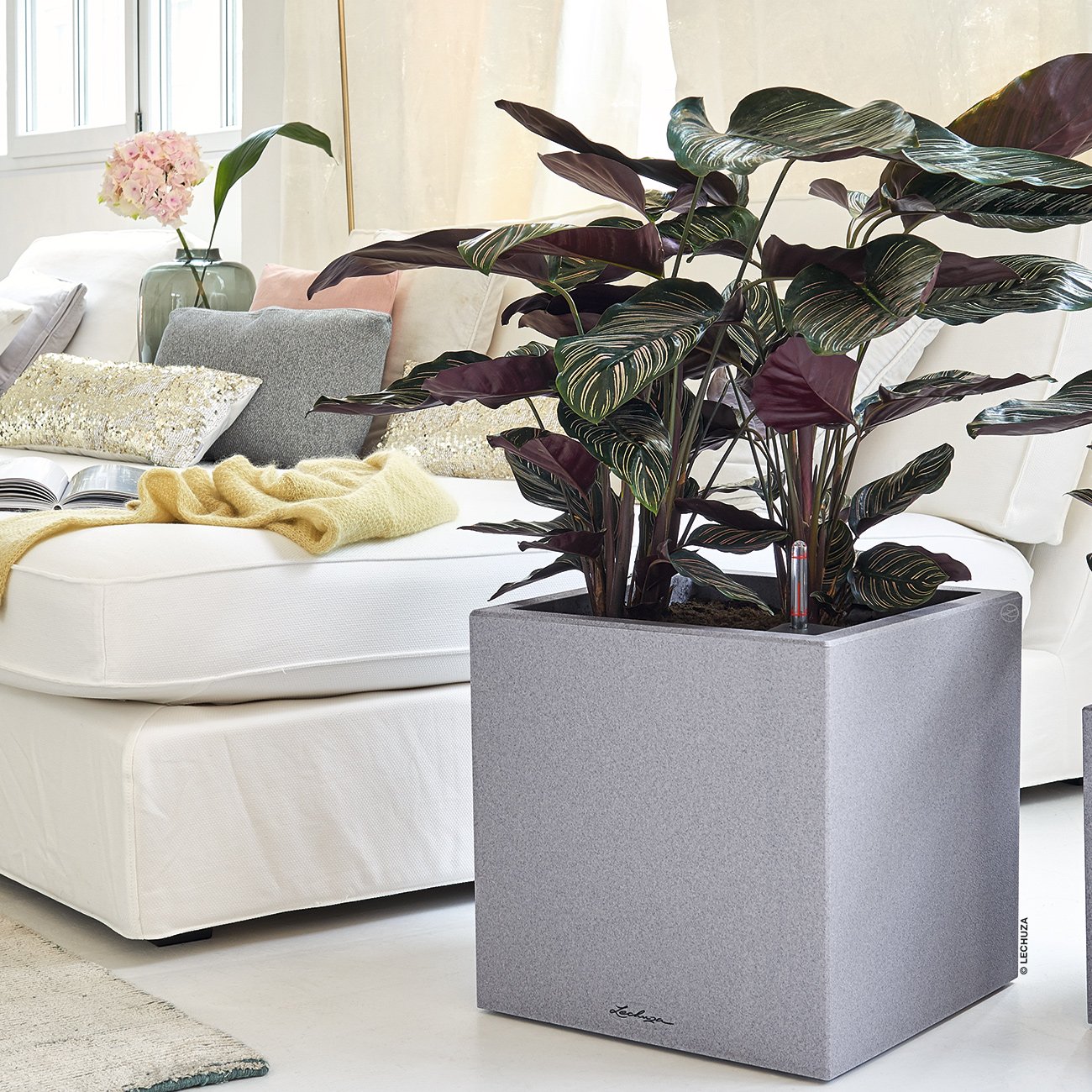 LECHUZA CANTO Stone Low Square Poly Resin Self-watering Planter