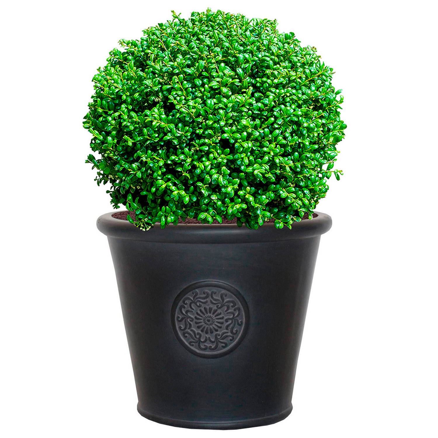 IDEALIST Lite Rustic Style Rolled Rim Wide Vase Outdoor Planter