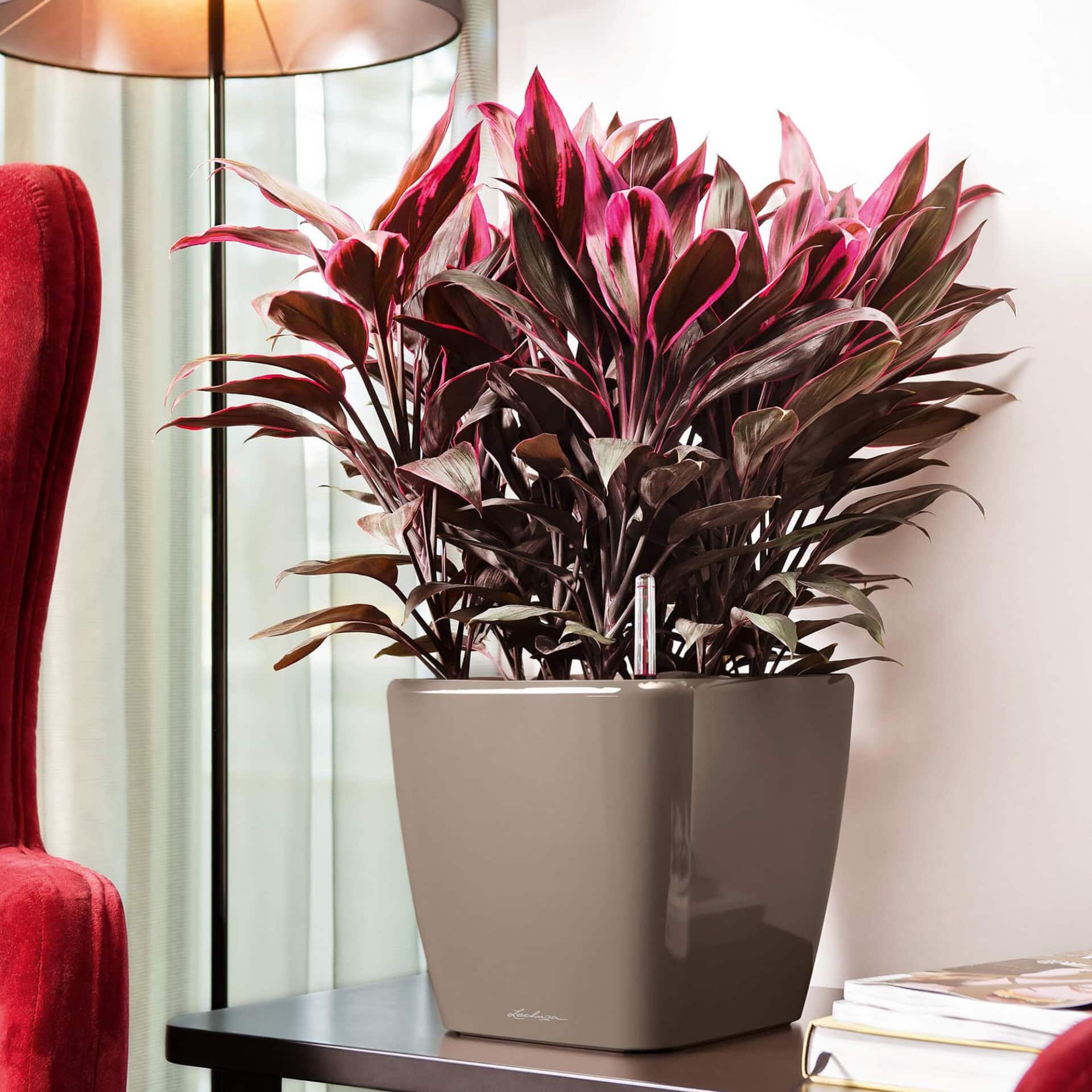 LECHUZA Quadro LS Square Poly Resin Self-watering Planter
