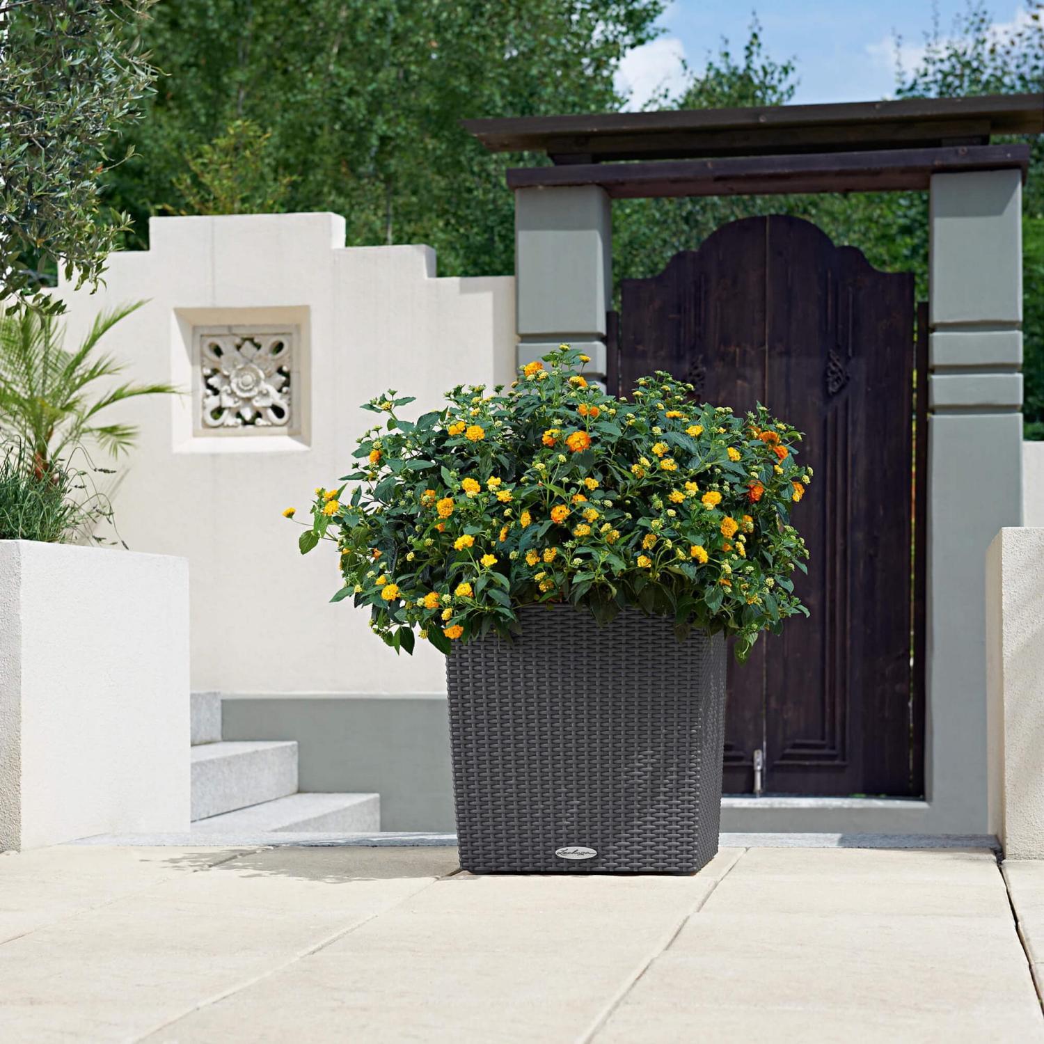 LECHUZA CUBE Cottage Square Poly Resin Self-watering Planter