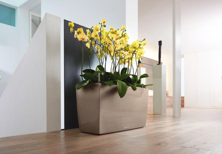 LECHUZA CARARO Trough Poly Resin Self-watering Planter