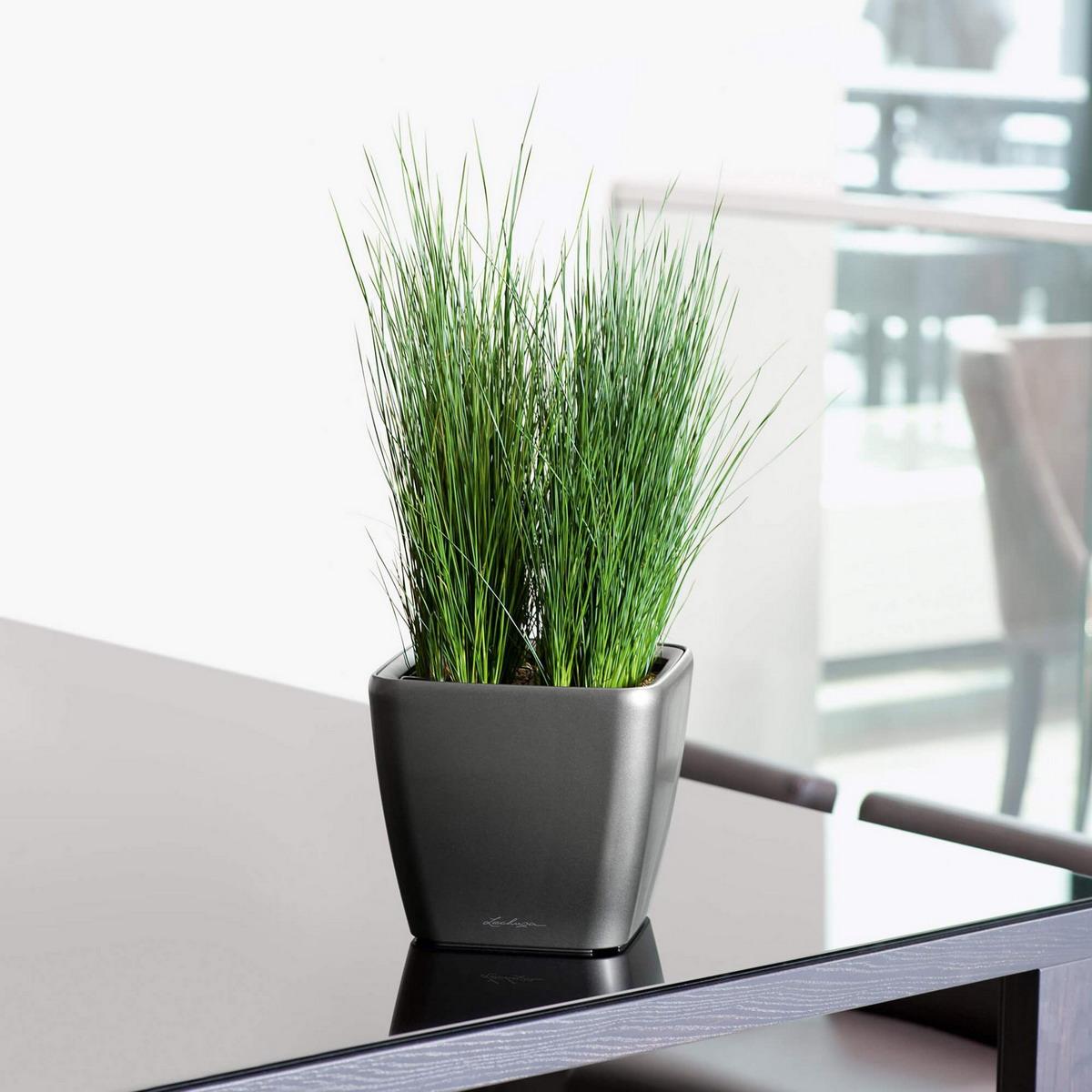 LECHUZA QUADRO Square Poly Resin Planter Only