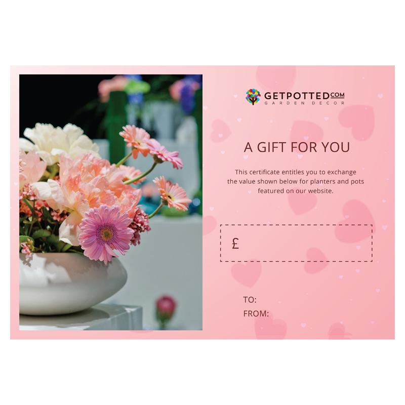 Valentine's Day Gift Certificate at Any Price