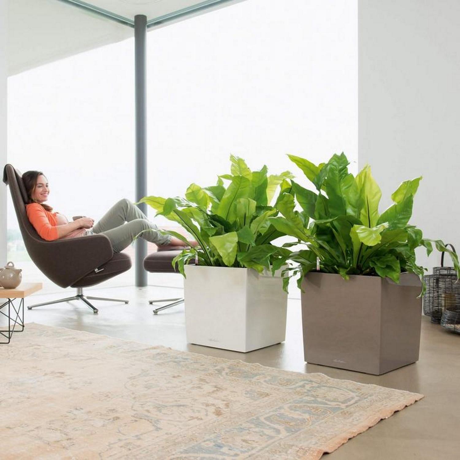 LECHUZA CUBE Square Poly Resin Self-watering Planter