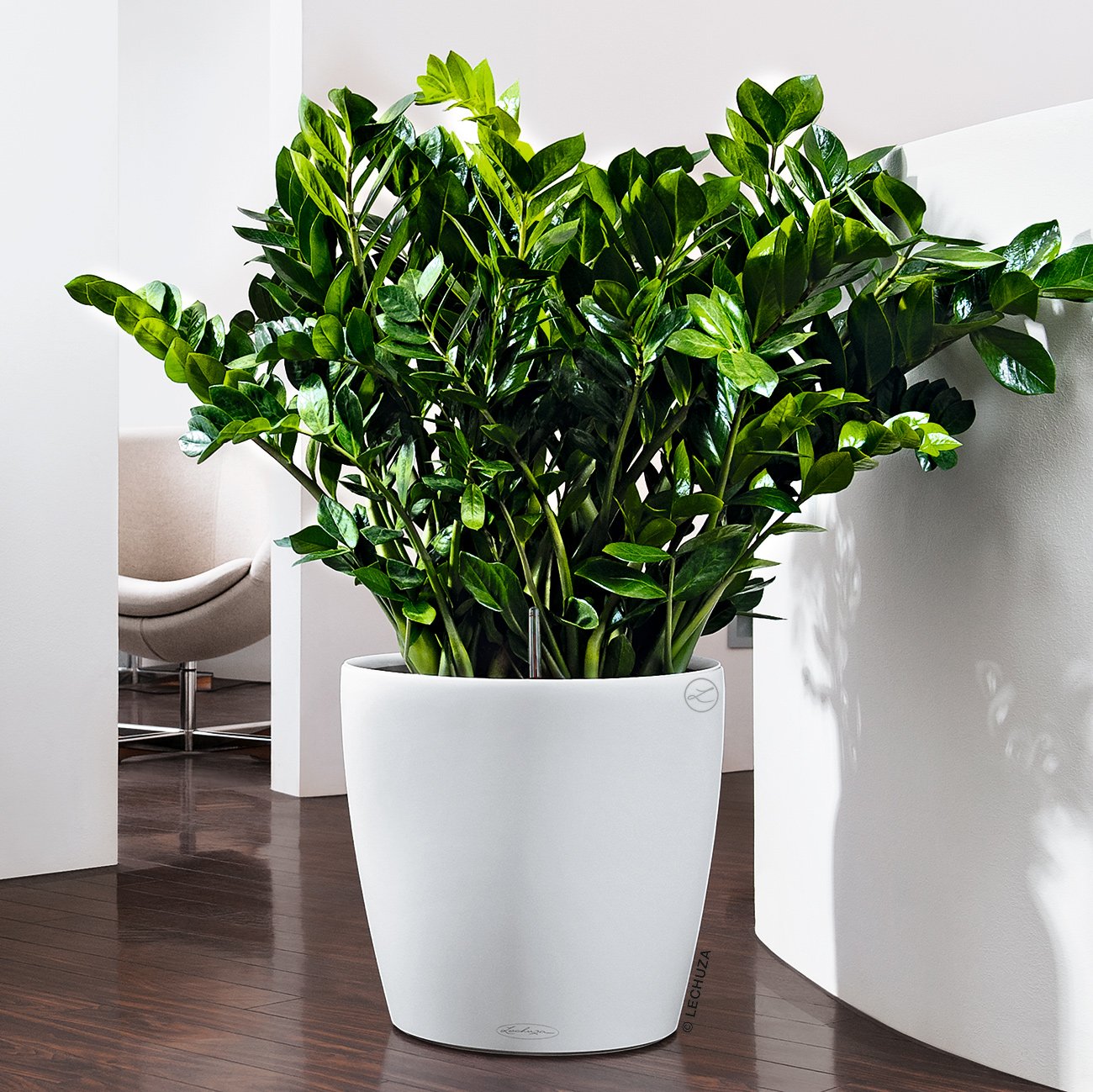 LECHUZA CLASSICO LS Round Poly Resin Self-watering Planter