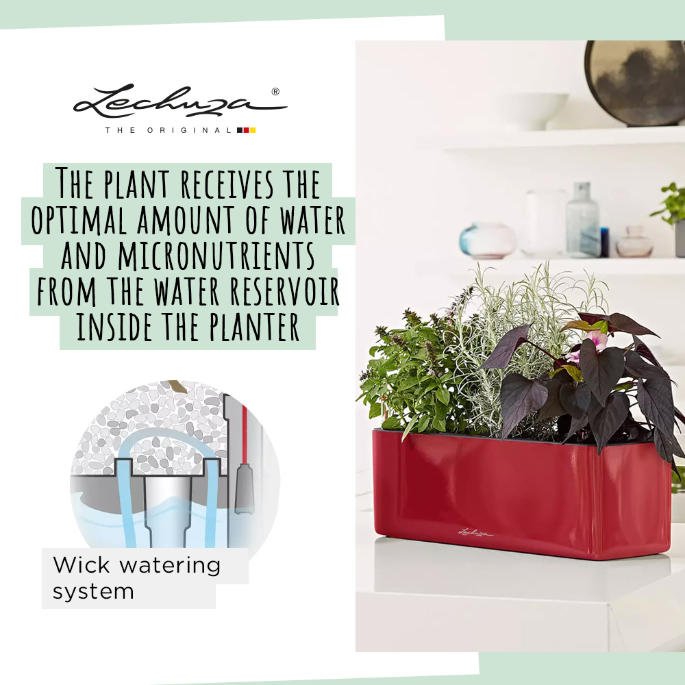 LECHUZA CUBE Glossy Triple Trough Poly Resin Self-watering Planter