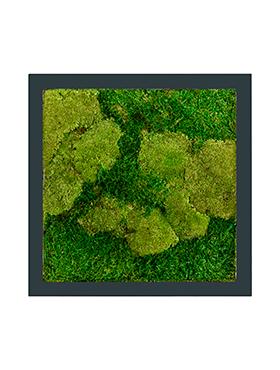 Moss Painting Stiel Square