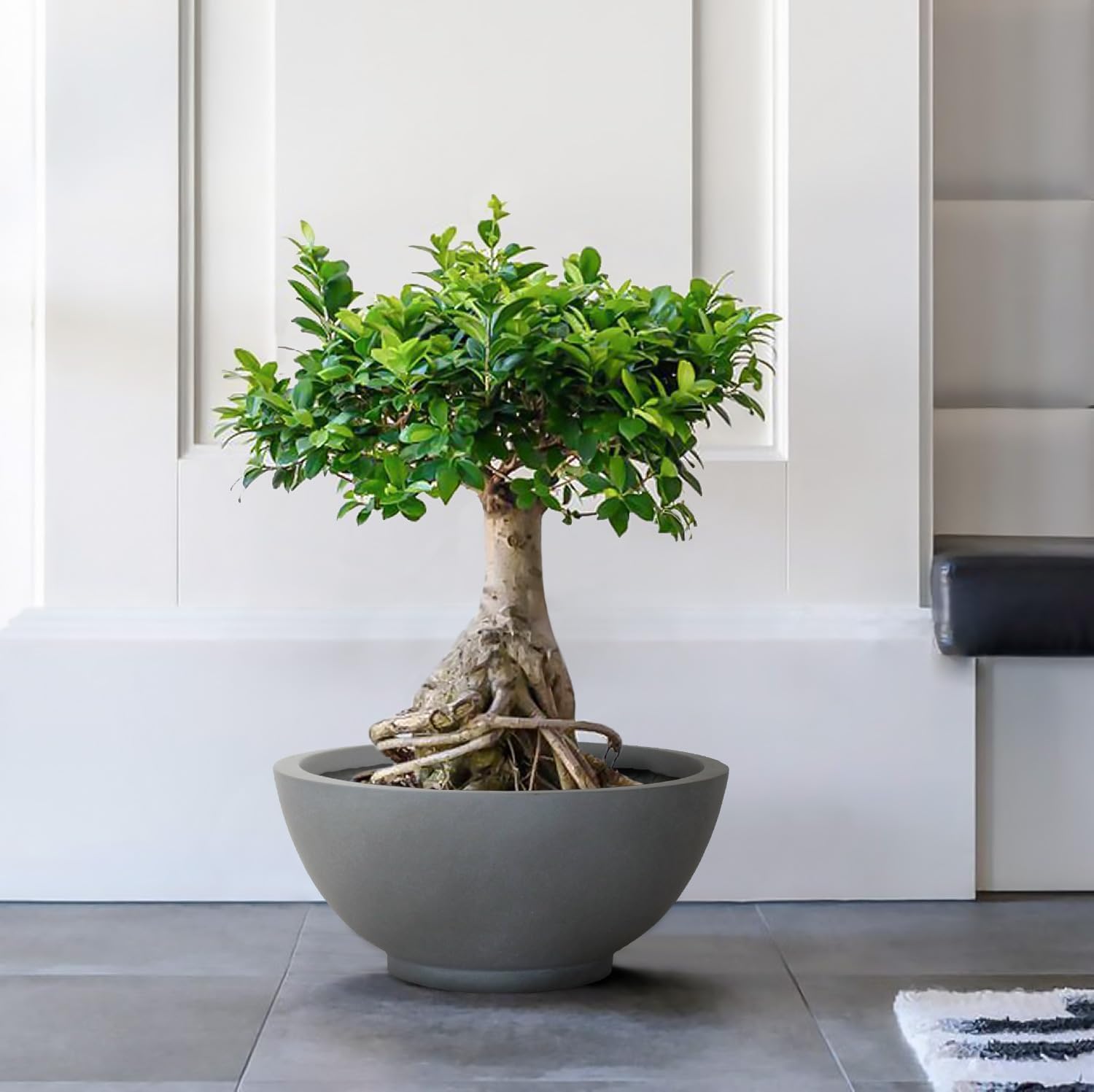 IDEALIST Lite Dish Style Smooth Bowl Outdoor Planter