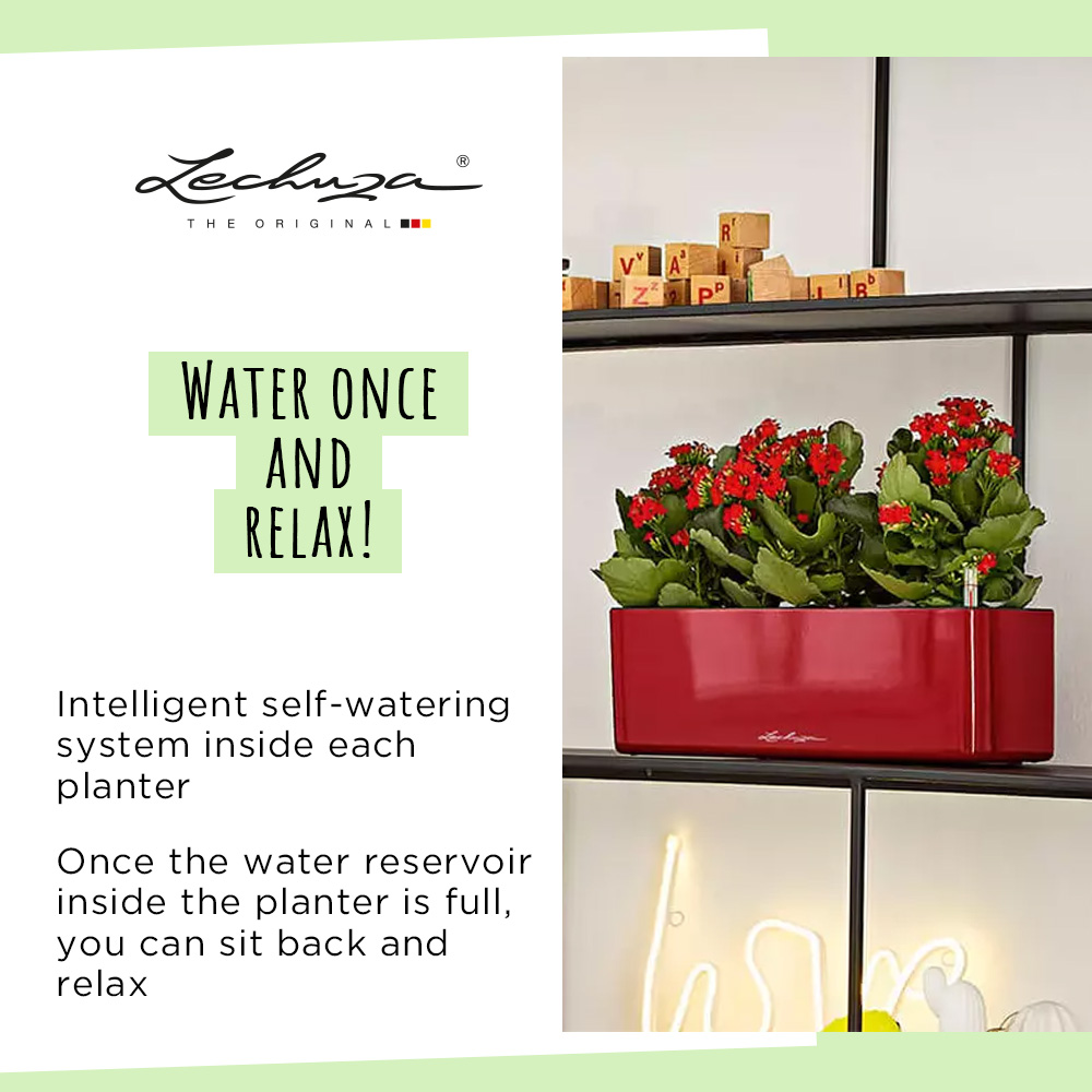 LECHUZA CUBE Glossy Triple Trough Poly Resin Self-watering Planter