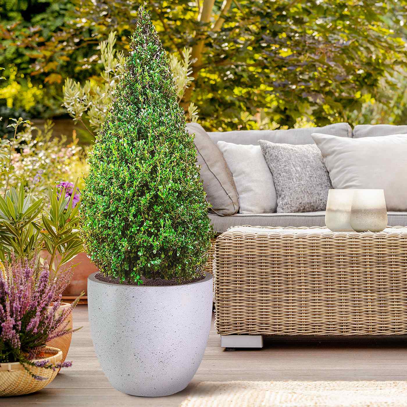 IDEALIST Lite Contemporary Light Concrete Egg Planter