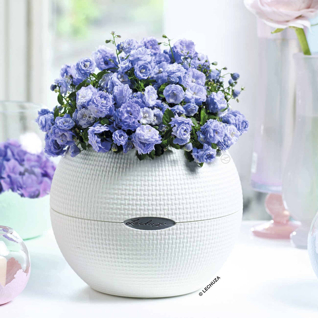 LECHUZA PURO Color Round Poly Resin Self-watering Planter