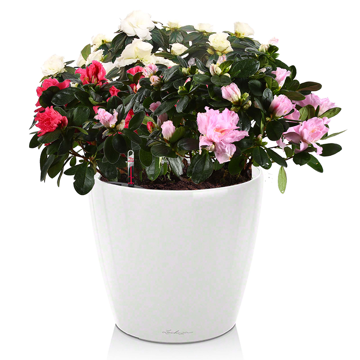 LECHUZA CLASSICO LS Round Poly Resin Self-watering Planter