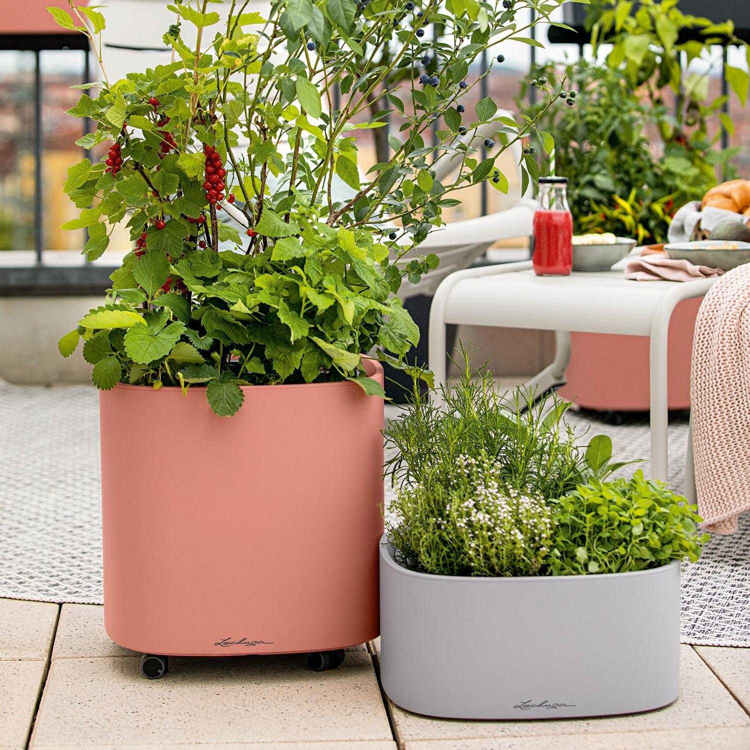 LECHUZA PILA Color Square Poly Resin Self-watering Planter