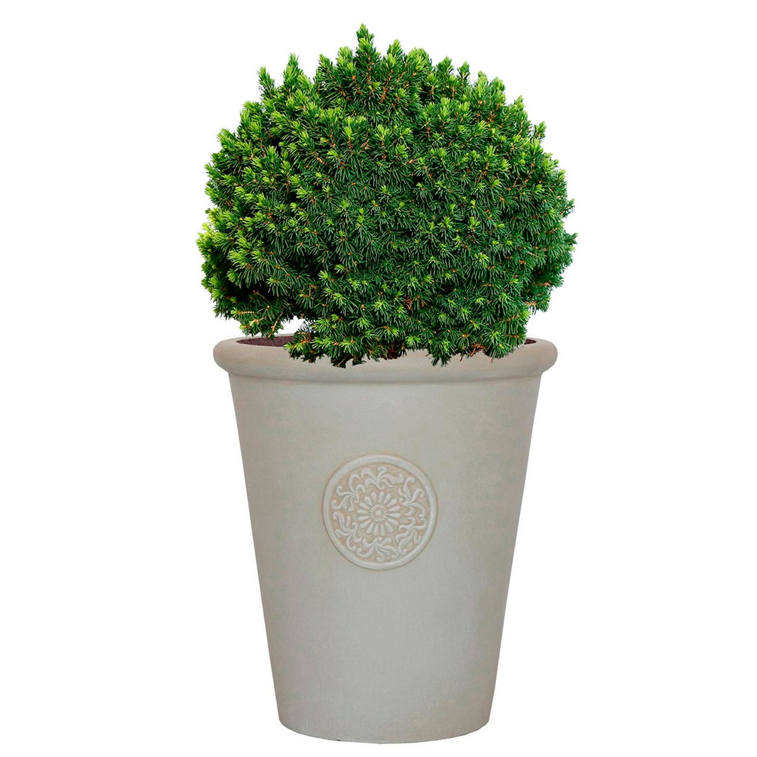 IDEALIST Lite Rustic Style Rolled Rim Vase Outdoor Planter