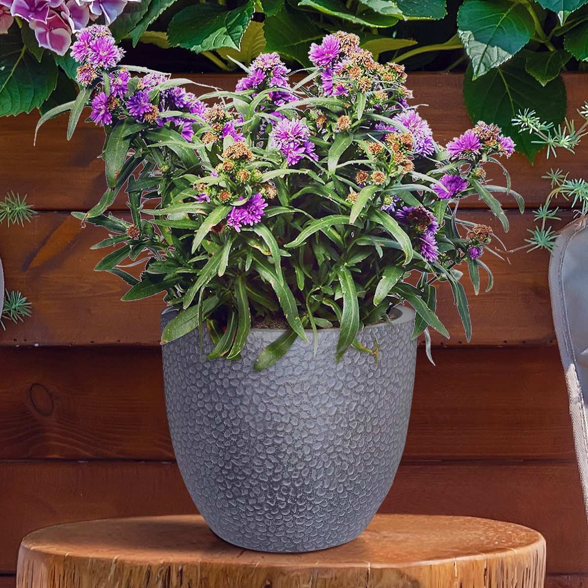 Avoid these Common Mistakes when Caring for Your Indoor Houseplant Avoid these Common Mistakes when Caring for Your Indoor Houseplant
