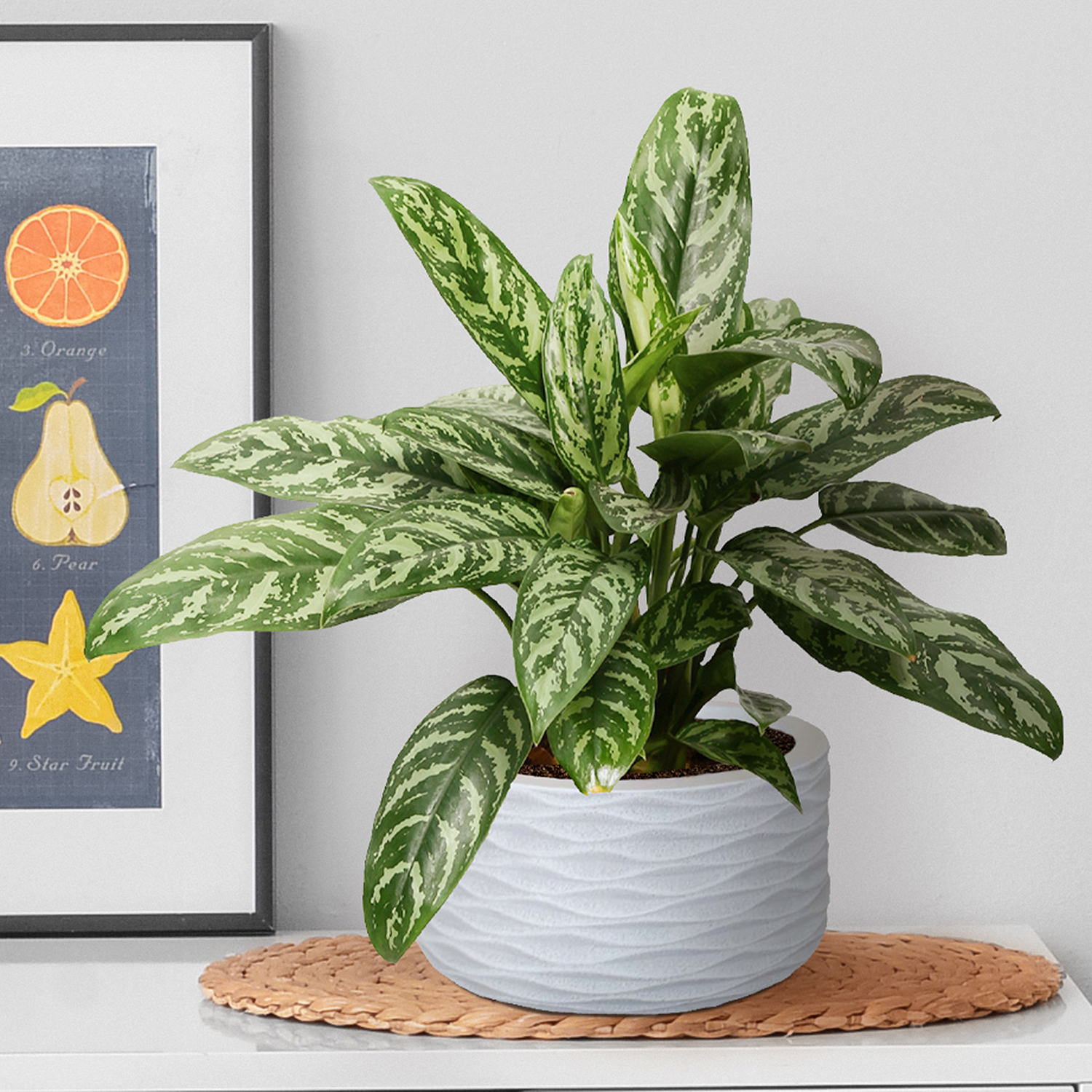 IDEALIST Lite Wave Style Table and Hanging Cylinder Round Plant Pot Dual Use Indoor Planter