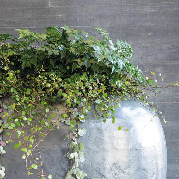 Fleur Ami Loft Roomdivider planter