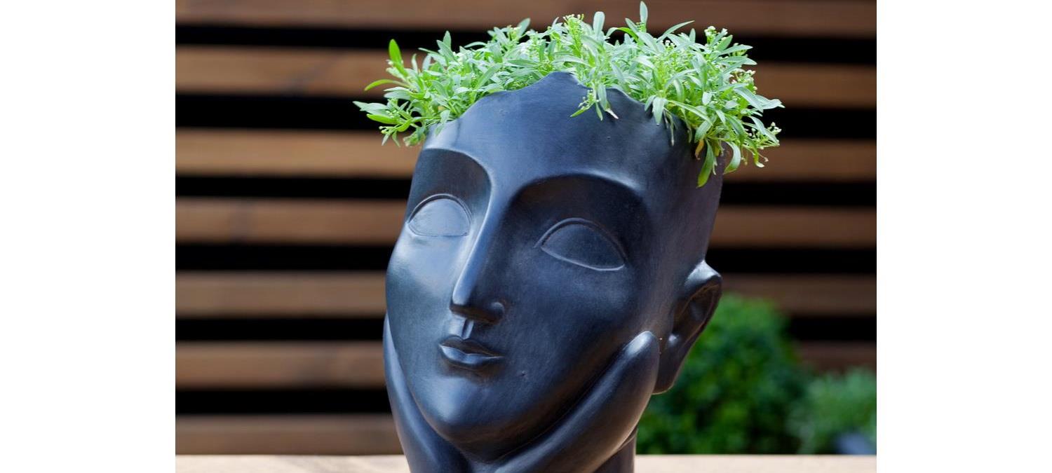 Save up to 15% on IDEALIST Face Planters
