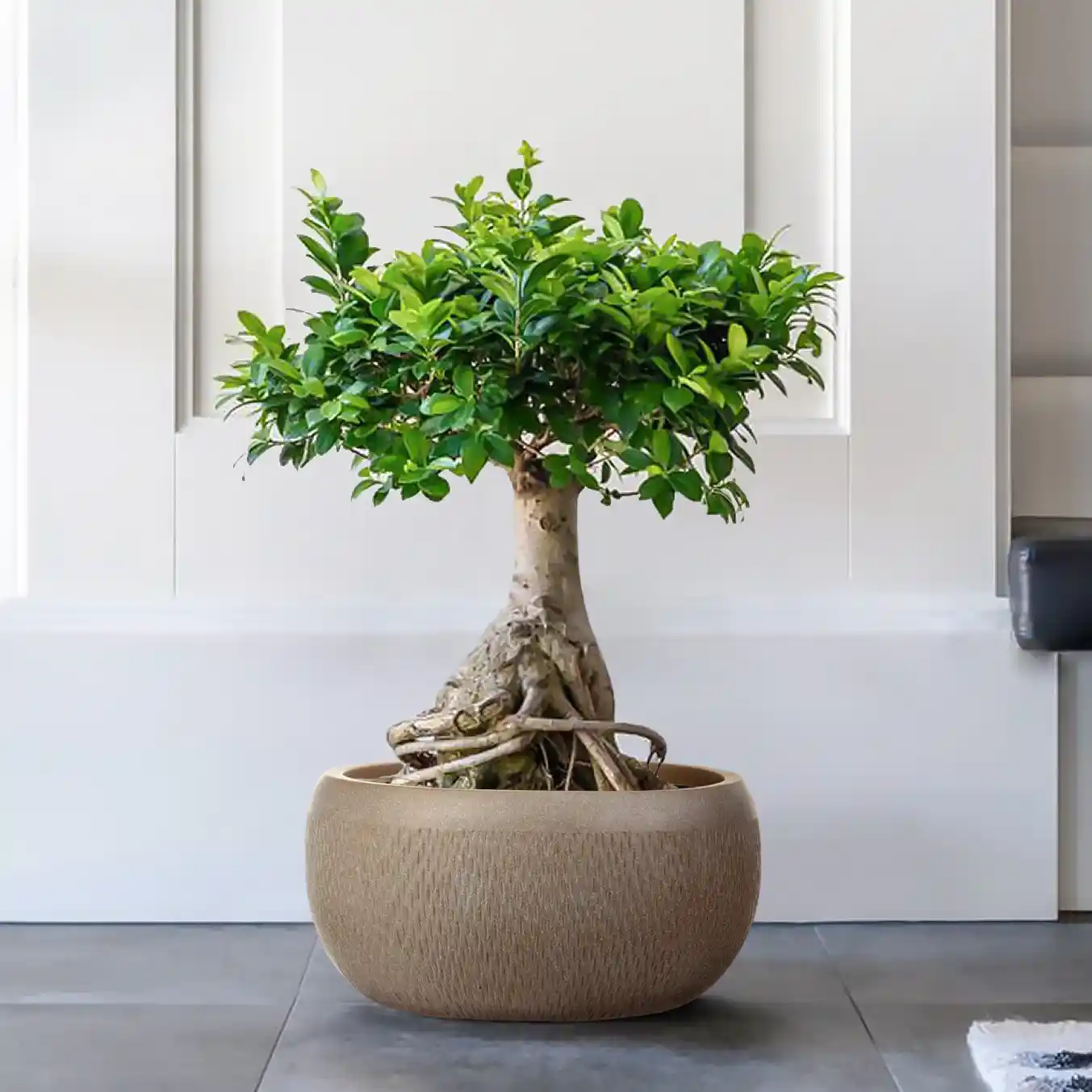 IDEALIST Lite Mesh Style Bowl Planter Outdoor Plant Pot