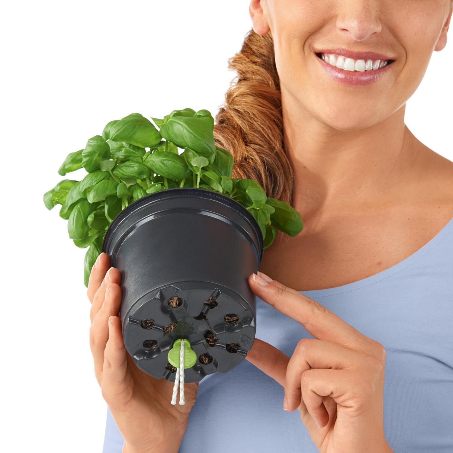 LECHUZA CUBE Color Square Poly Resin Indoor Self-watering Planter