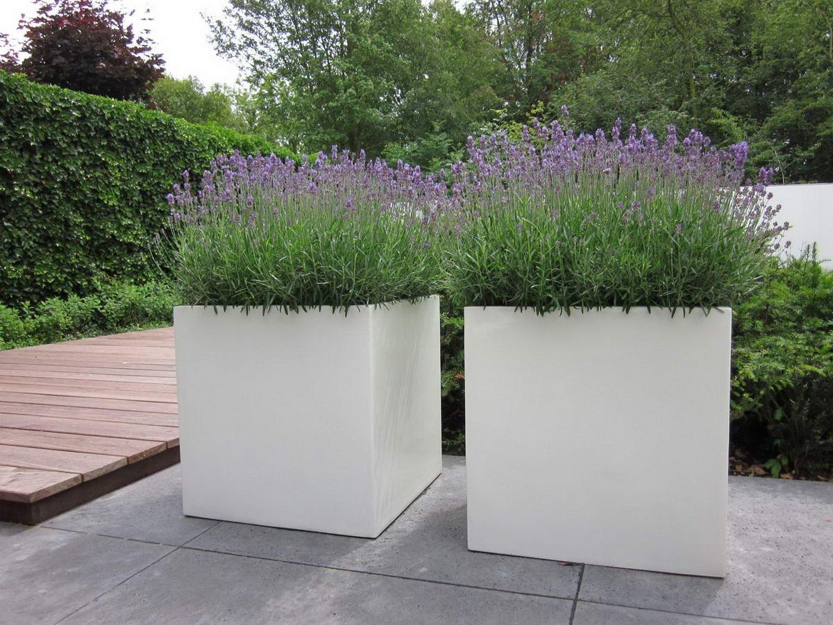 AXIS Trough Outdoor Fiberglass Planter
