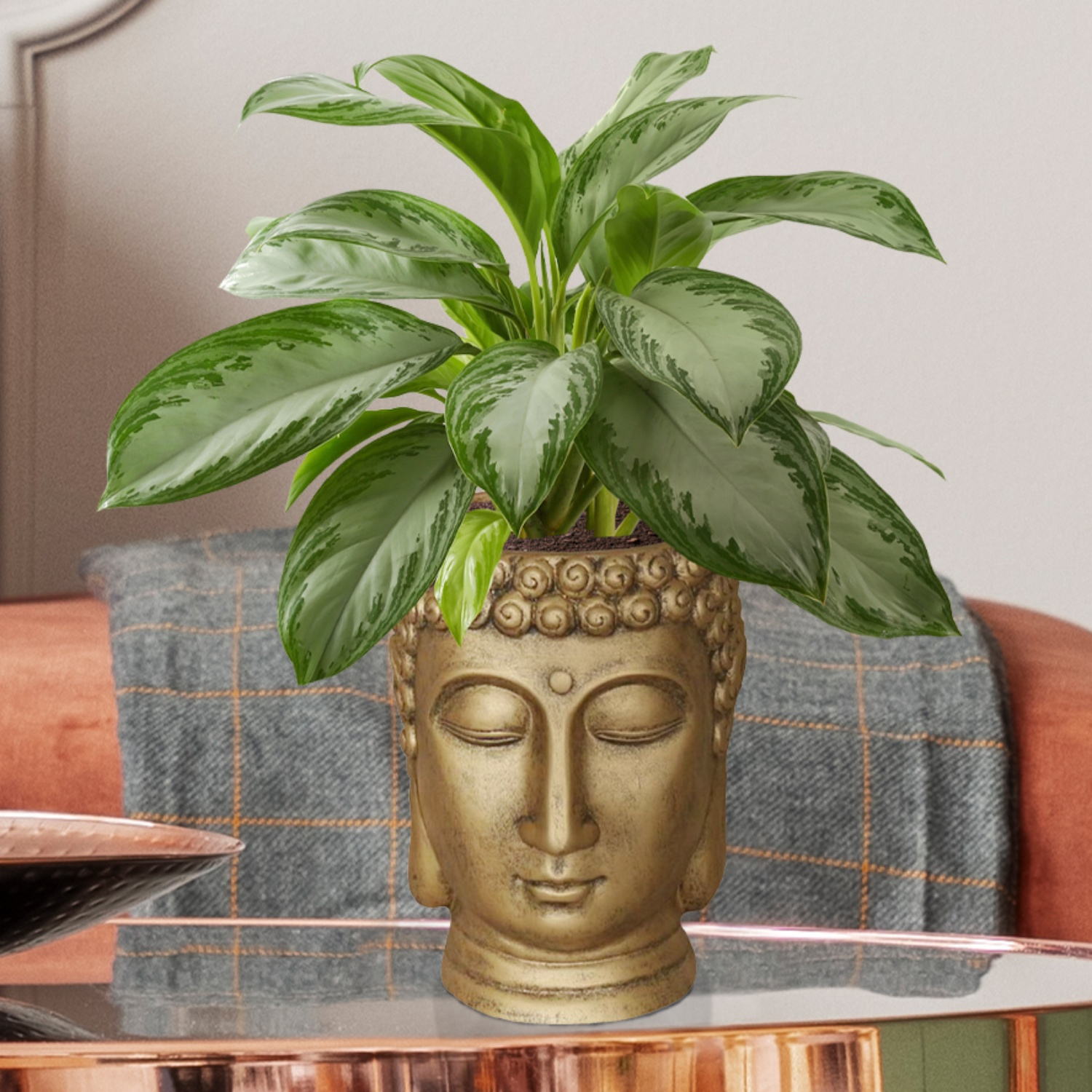 IDEALIST Lite Buddha Face Plant Pot Indoor