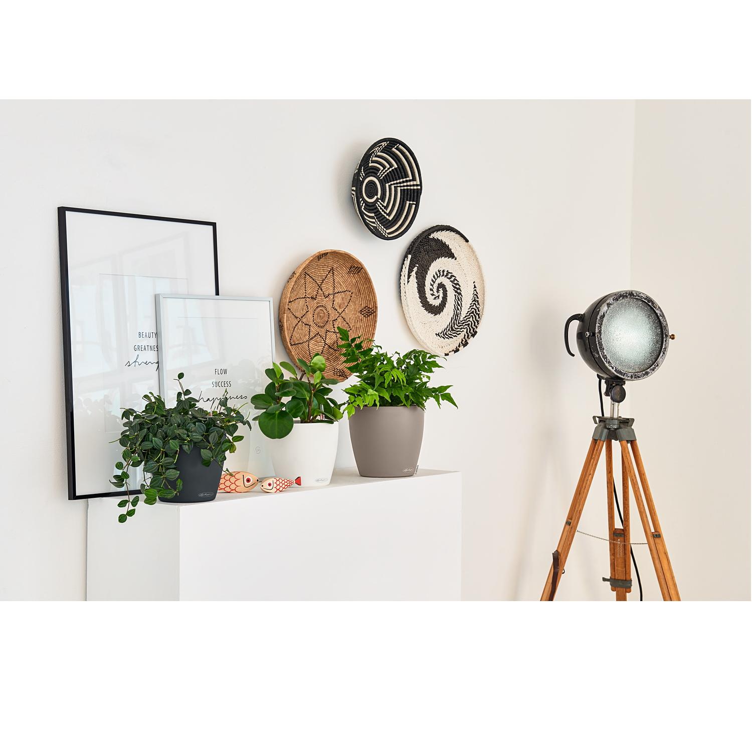 LECHUZA CLASSICO Color Round Poly Resin Self-watering Planter