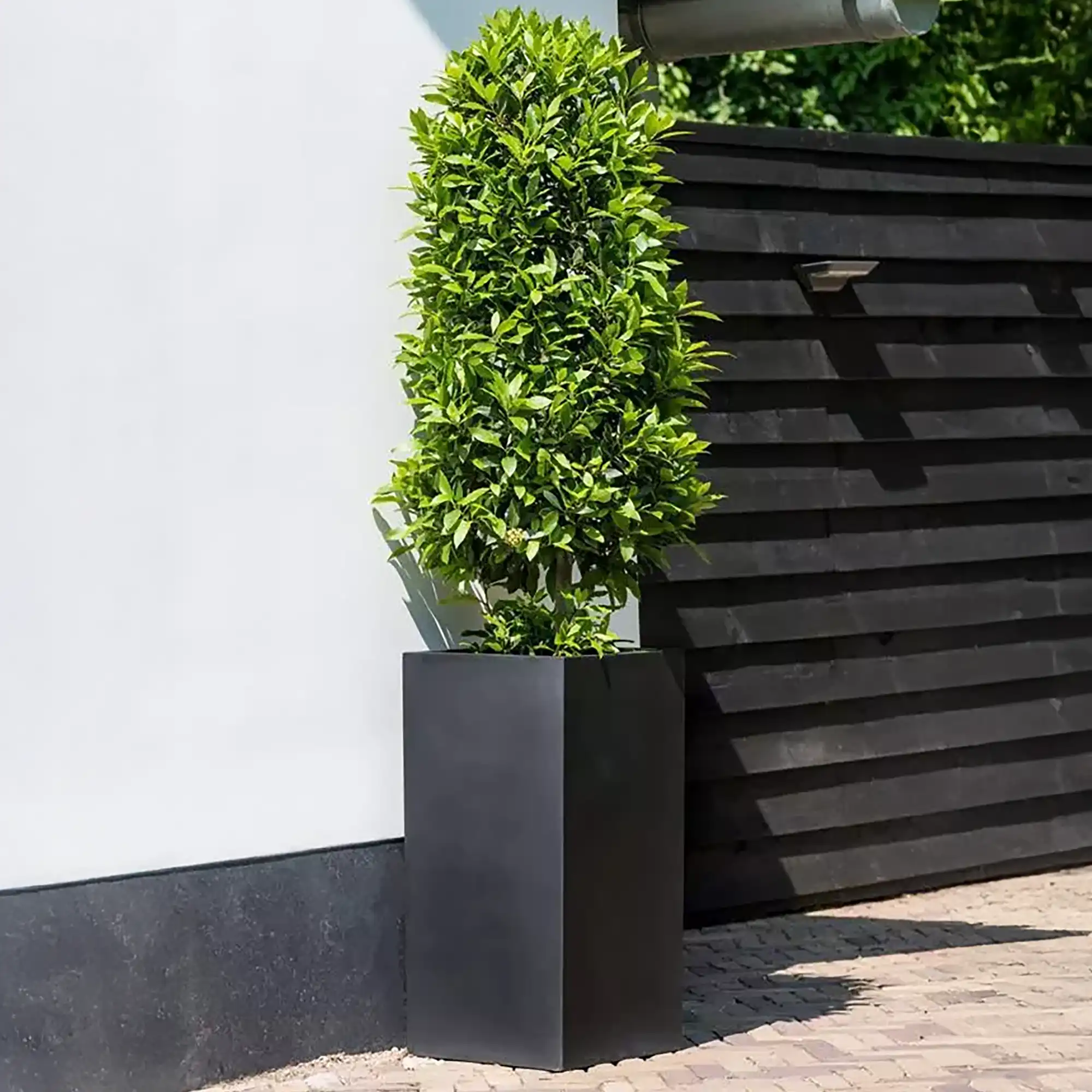 Tall Fiberstone Square Planter by Idealist Premium BOUVY