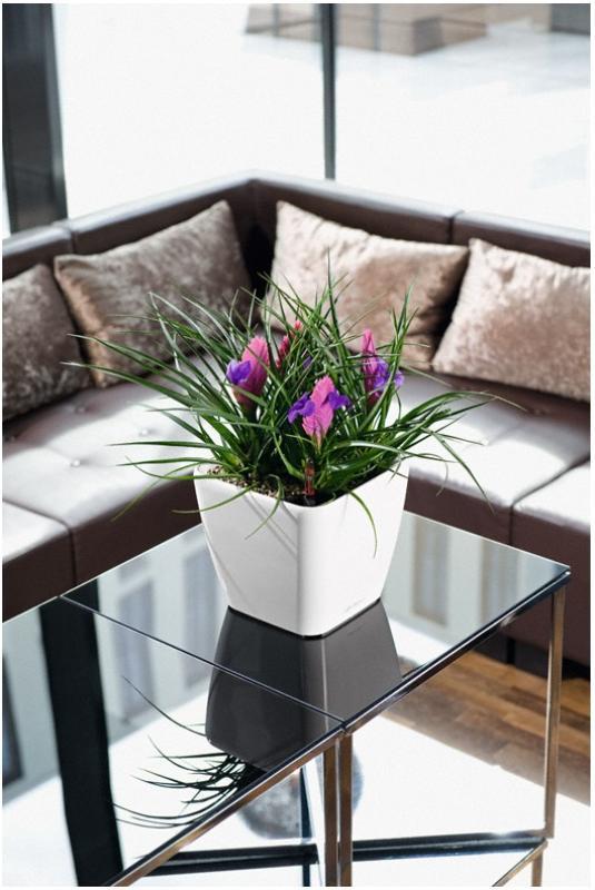 LECHUZA Quadro LS Square Poly Resin Self-watering Planter