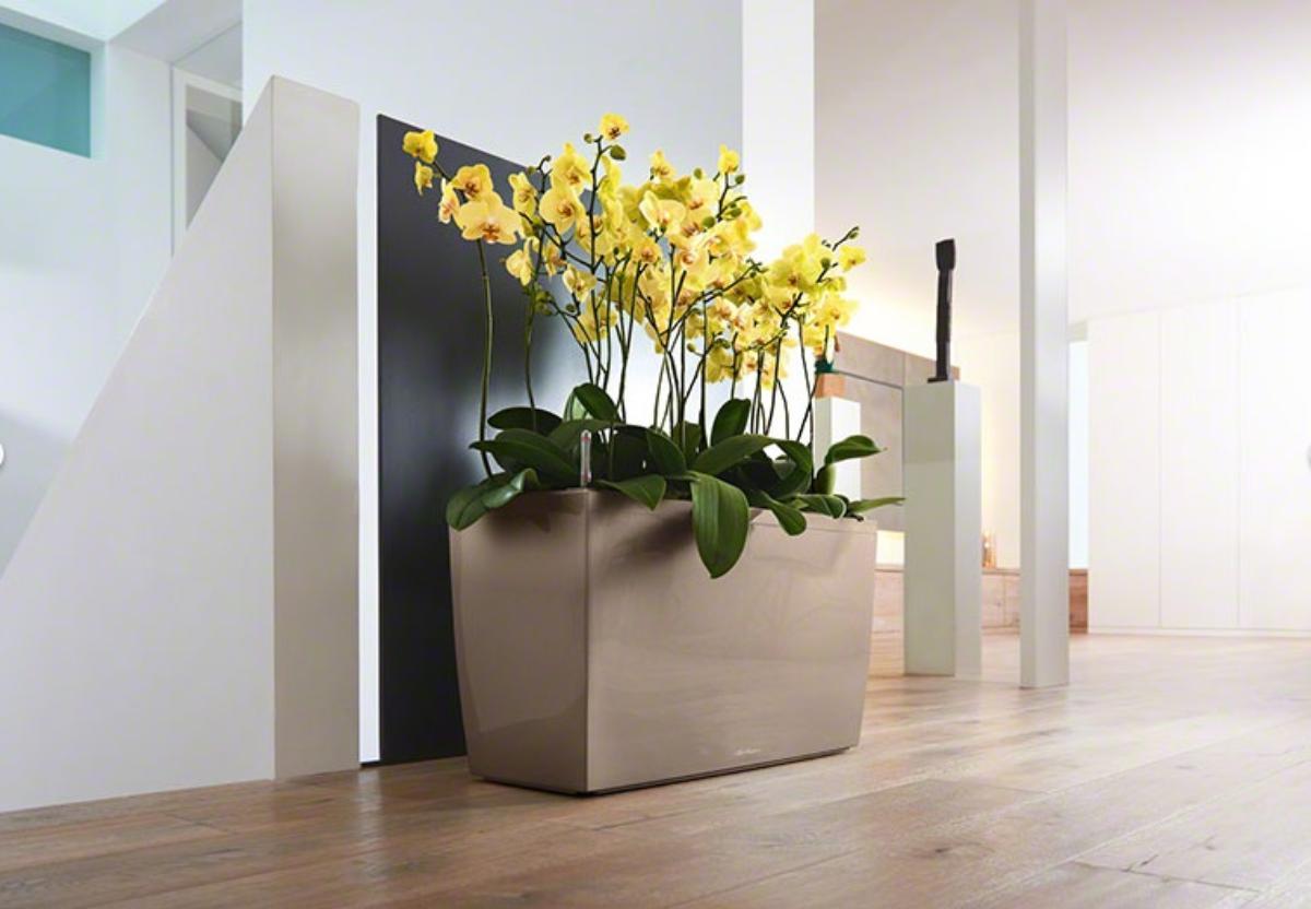 LECHUZA CARARO Trough Poly Resin Self-watering Planter