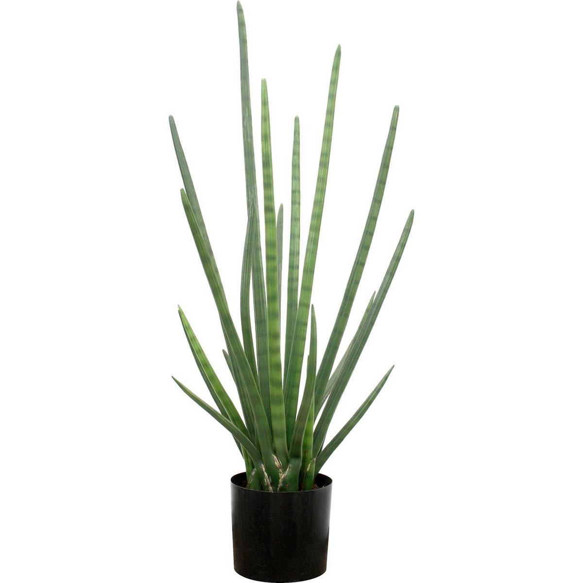 SANSEVIERIA CYLINDRICA Artificial Flower Plant