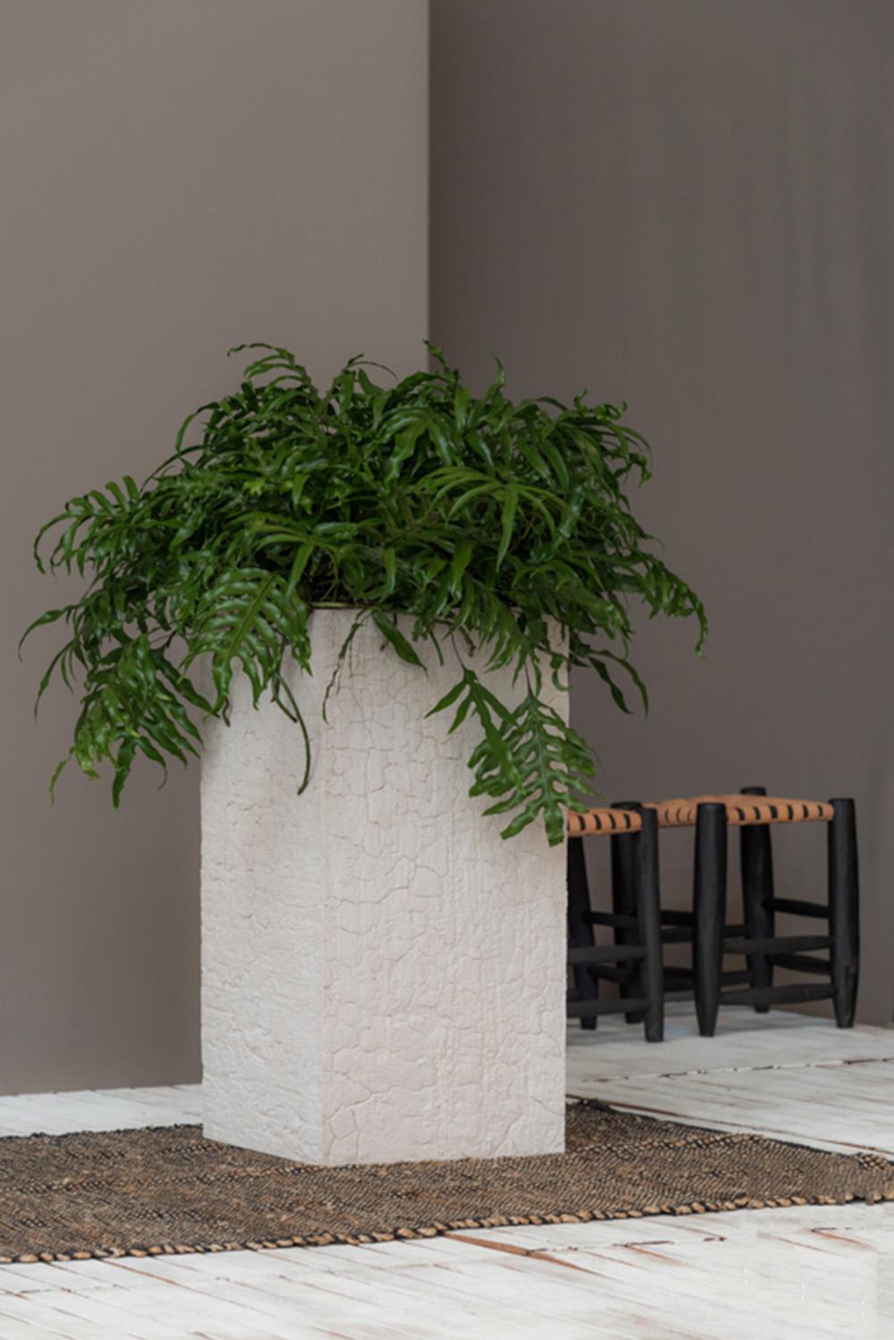 Tall Fiberstone Square Planter by Idealist Premium BOUVY