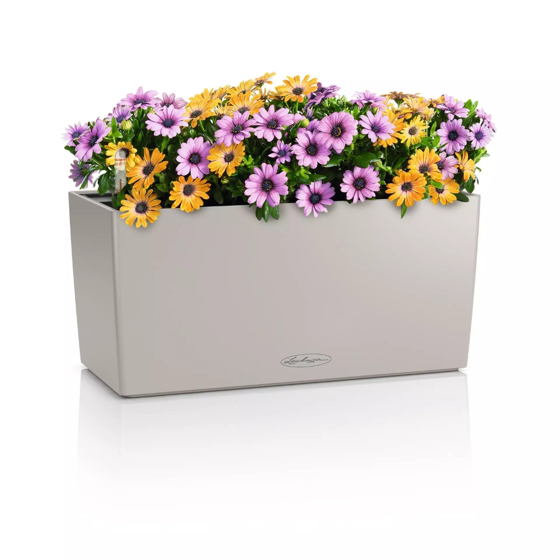 LECHUZA BALCONERA Color Trough Poly Resin Self-watering Planter