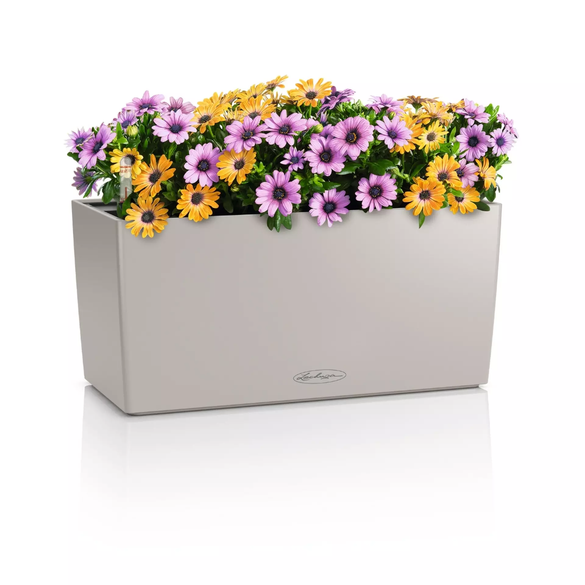 LECHUZA BALCONERA Color Trough Poly Resin Self-watering Planter