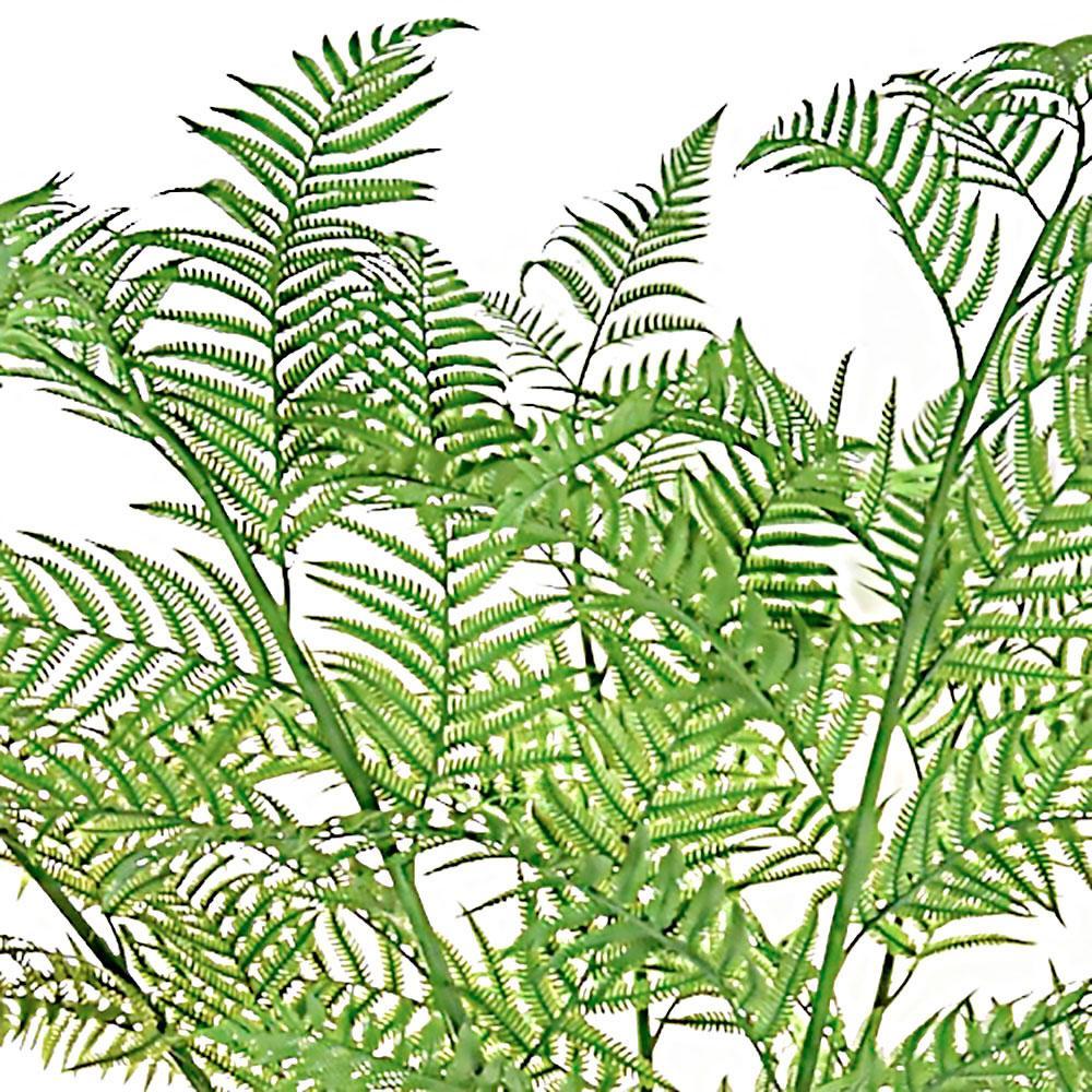 Palm Alsophila Artificial Tree Plant Palm Alsophila Artificial Tree Plant