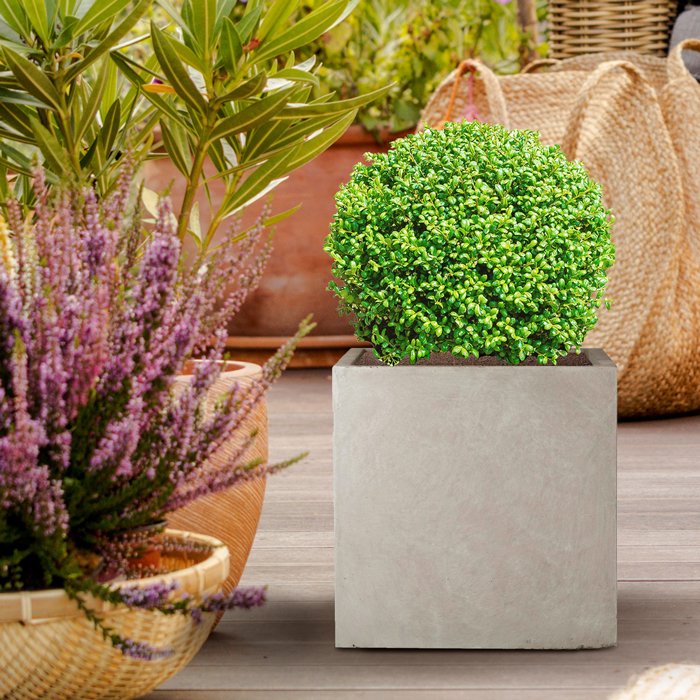 Outdoor Planters Buying Guide