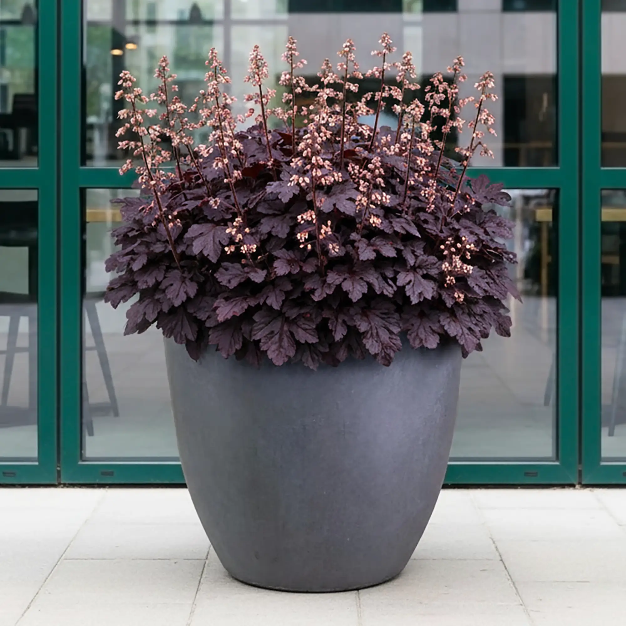 IDEALIST Lite Contemporary Light Concrete Egg Planter