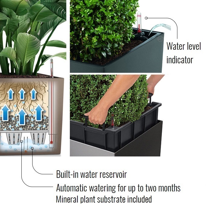 LECHUZA CUBE Square Poly Resin Self-watering Planter