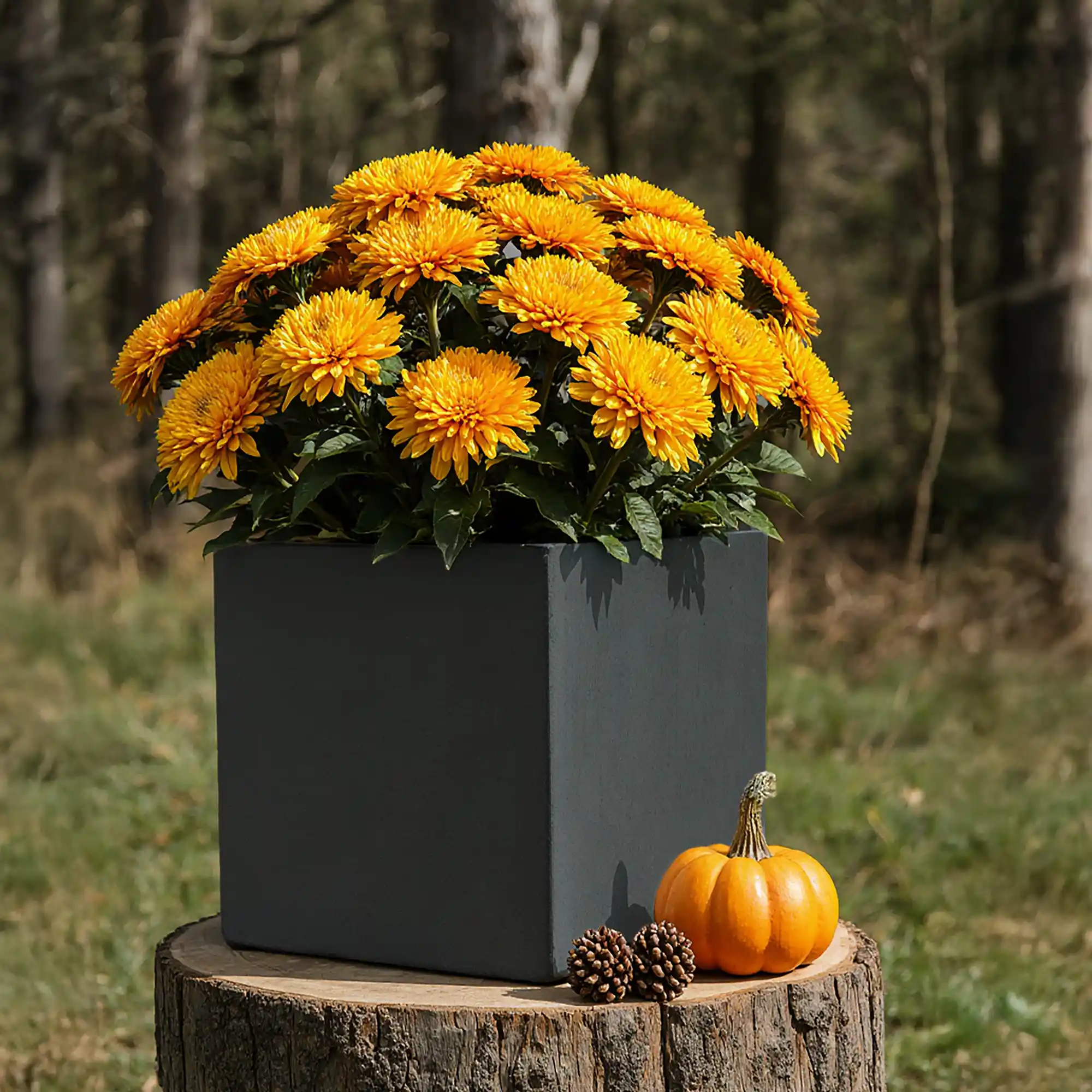 IDEALIST Lite Square Box Contemporary Light Concrete Planter