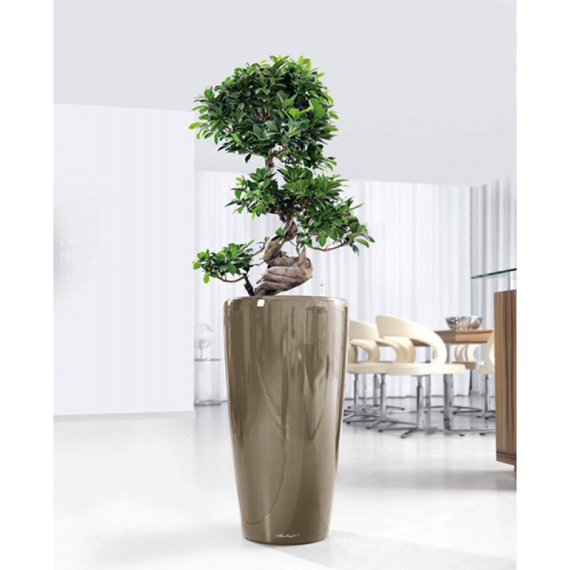 LECHUZA Rondo Round Tall Poly Resin Self-watering Planter