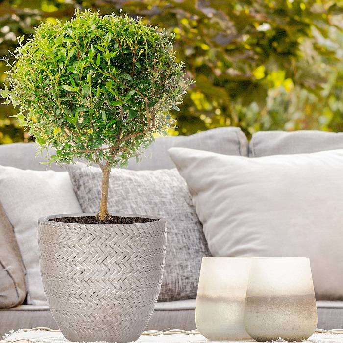 How to cover plastic plant pots?